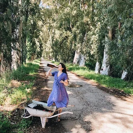 Bhavana Goekova فندق