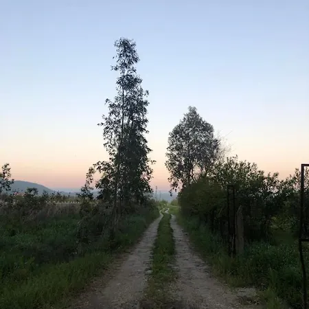 Hotel Bhavana Gokova Akyaka (Mugla)