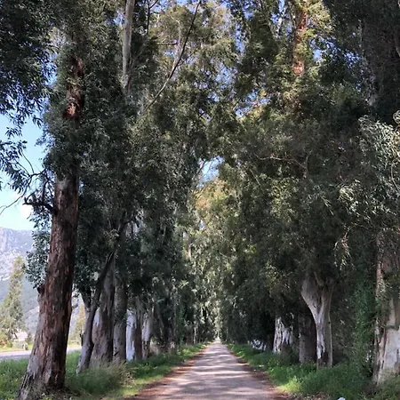 Bhavana Gokova Akyaka (Mugla)